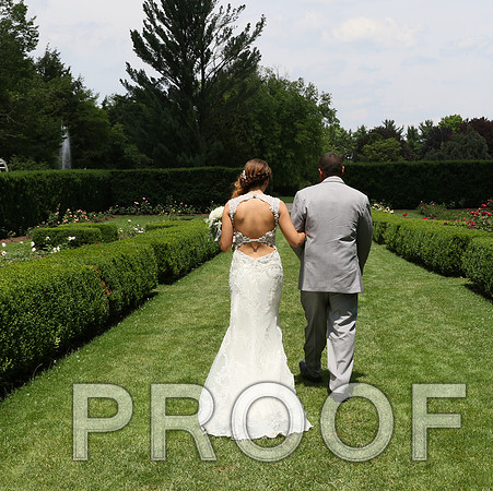 IF6A1917 / The wedding Ceremony