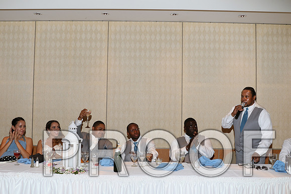 IF6A2687 / The Wedding - Toasts to the Bride and Groom