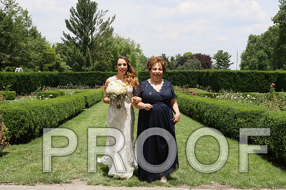 IF6A1700 / The wedding Ceremony