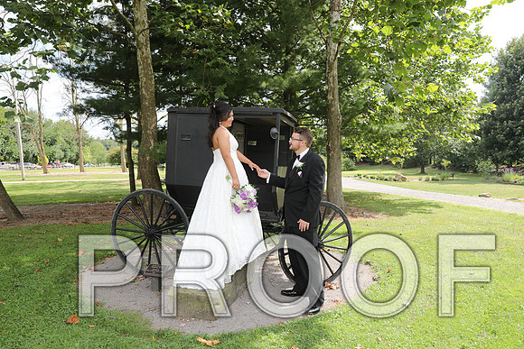 8L2A5871 Wedding - Bride and Groom with the Bridal Party