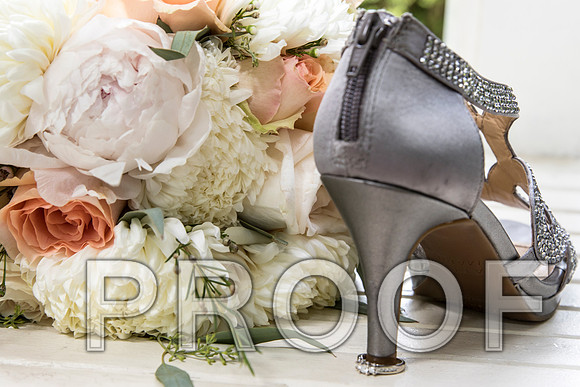 IF6A2195 aaa / The Wedding - Bride & Groom with the Bridal Party
