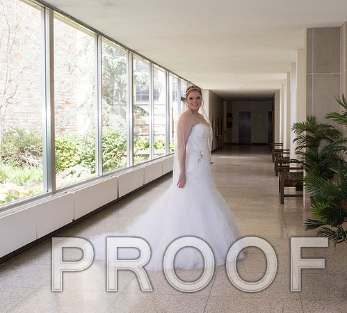 IF6A7745 aaa Wedding - Bride with family and bridesmaids