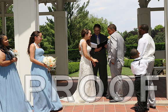 IF6A1834 / The wedding Ceremony