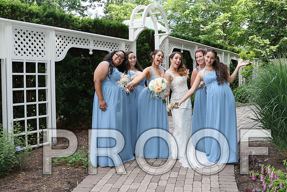 IF6A2213 / The Wedding - Bride & Groom with the Bridal Party