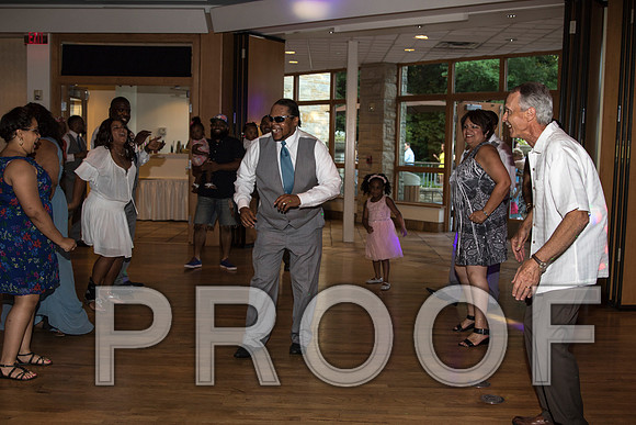 IF6A2760 aaa / The Wedding Reception - Let the Party start