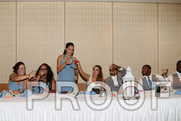 IF6A2635 / The Wedding - Toasts to the Bride and Groom