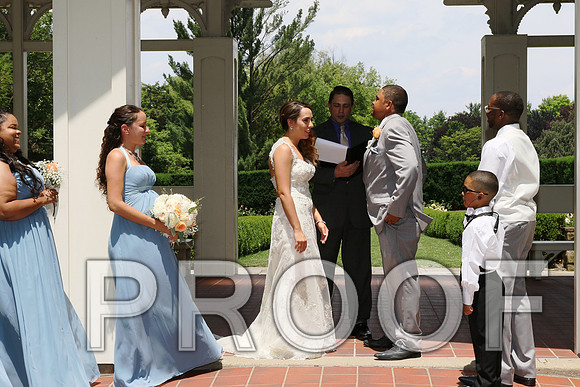IF6A1831 / The wedding Ceremony
