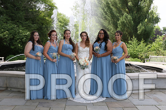 IF6A2229 / The Wedding - Bride & Groom with the Bridal Party