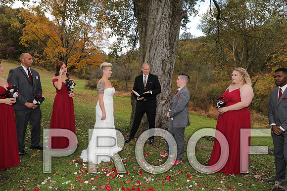 8L2A3313 Wedding Photos - The ceremony