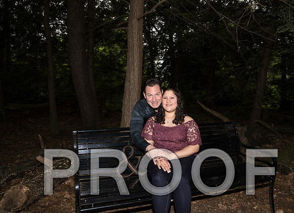 8L2A9244 aaa Engagement Session