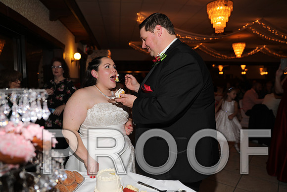 8L2A6414 Wedding Photos - Cutting the cake