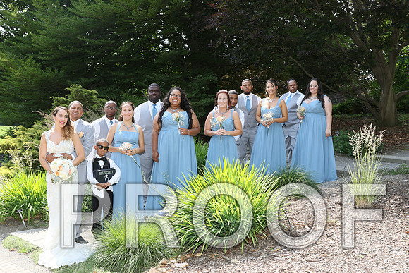 IF6A2295 / The Wedding - Bride & Groom with the Bridal Party