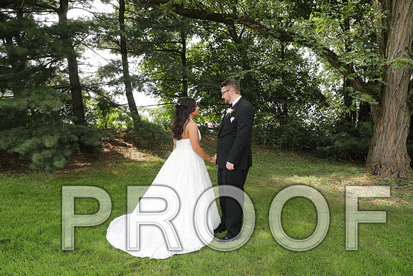 8L2A5900 Wedding - Bride and Groom with the Bridal Party