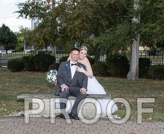 IF6A8278 aaa Wedding - Bride and groom with bridal party