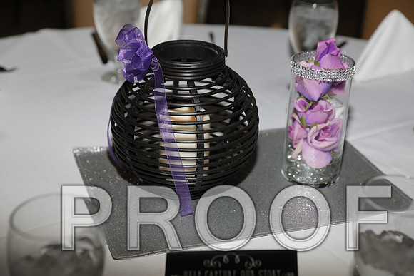 8L2A5956 Wedding - Reception with Family and Friends
