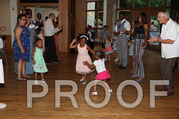 IF6A2768 / The Wedding Reception - Let the Party start