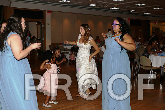 IF6A2866 / The Wedding Reception - Let the Party start