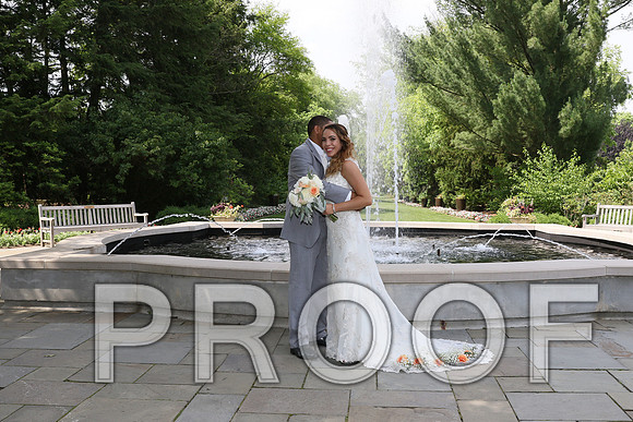 IF6A2272 / The Wedding - Bride & Groom with the Bridal Party