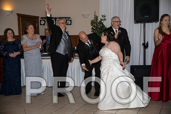 8L2A6291 aaa Wedding Photos - The Reception
