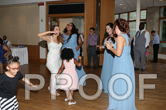 IF6A2871 / The Wedding Reception - Let the Party start