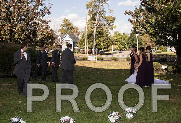 IF6A8260 aaa Wedding - Bride and groom with bridal party