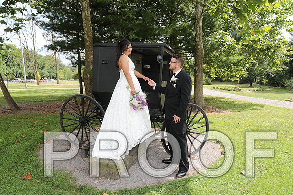 8L2A5867 Wedding - Bride and Groom with the Bridal Party