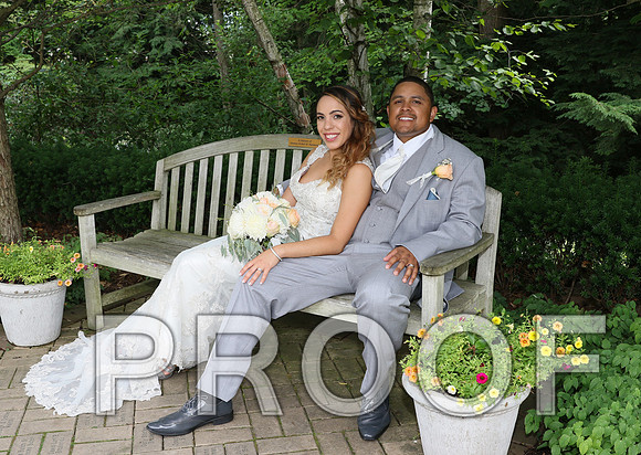 IF6A2042 / The Wedding - The Bride and Groom