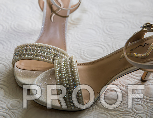 8L2A3064 aaa Wedding Photos - The bride getting ready for the big day