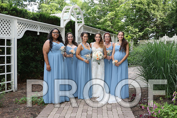 IF6A2210 / The Wedding - Bride & Groom with the Bridal Party