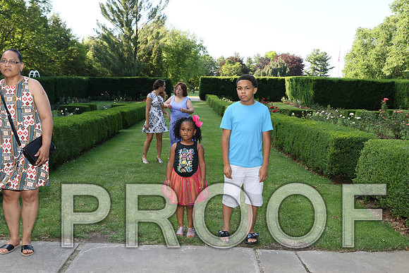 IF6A1240/The Wedding Rehearsal