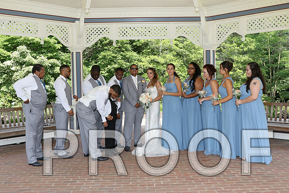 IF6A2280 / The Wedding - Bride & Groom with the Bridal Party