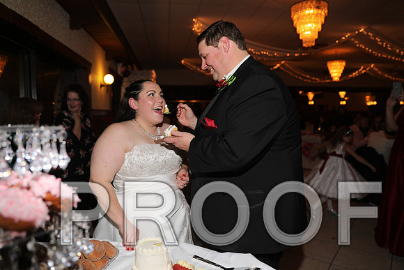 8L2A6415 Wedding Photos - Cutting the cake