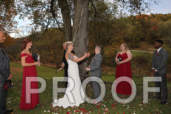 8L2A3428 Wedding Photos - The ceremony
