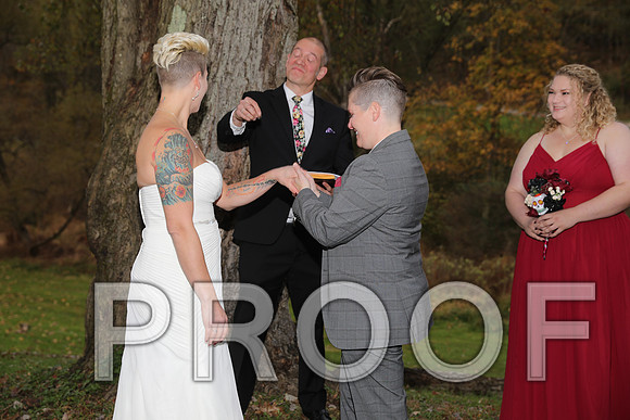 8L2A3417 Wedding Photos - The ceremony