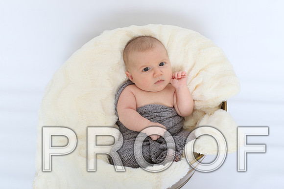 IF6A1501