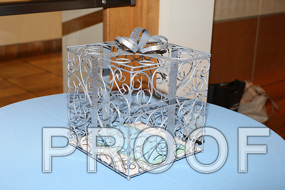 IF6A2379 / The Wedding Reception - Guests