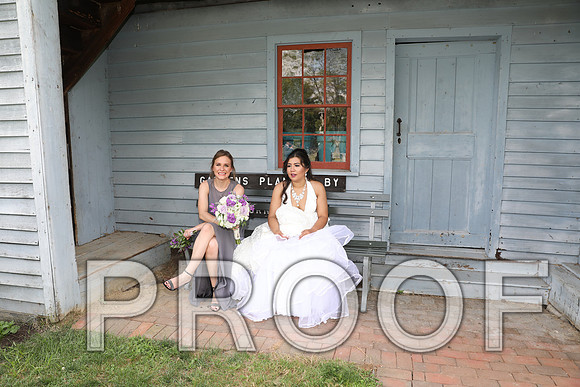 8L2A5917 Wedding - Bride and Groom with the Bridal Party