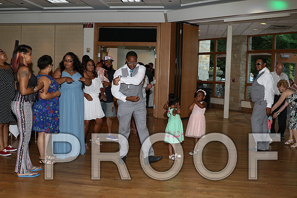 IF6A2794 / The Wedding Reception - Let the Party start