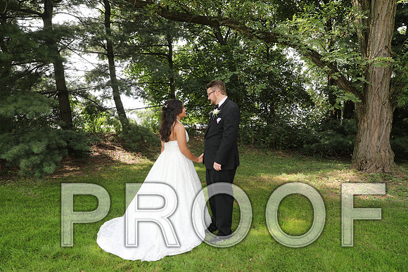 8L2A5901 Wedding - Bride and Groom with the Bridal Party