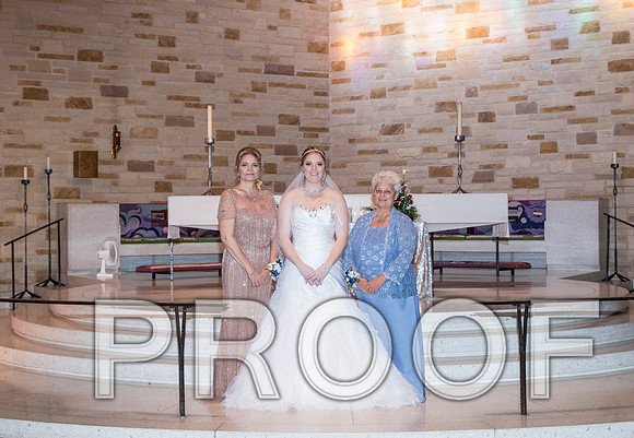 IF6A8181 aaa Wedding - Family formals
