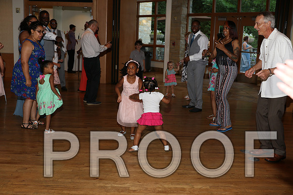 IF6A2767 / The Wedding Reception - Let the Party start