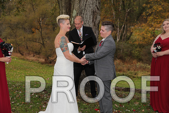 8L2A3344 Wedding Photos - The ceremony