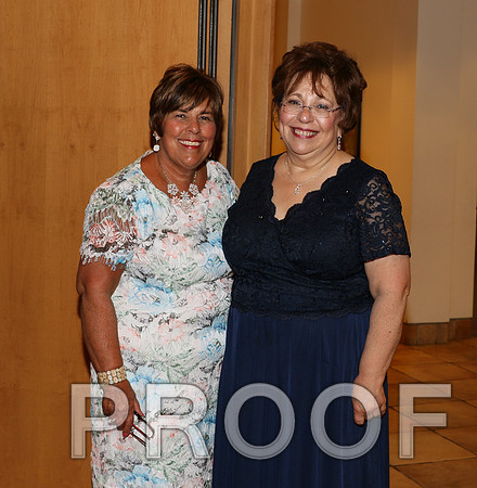 IF6A2471 / The Wedding Reception - Guests