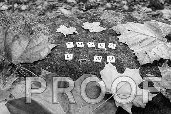 IF6A8930 aaa B&W Engagement Session at Millcreek Park