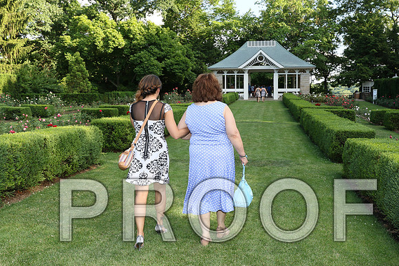 IF6A1229/The Wedding Rehearsal