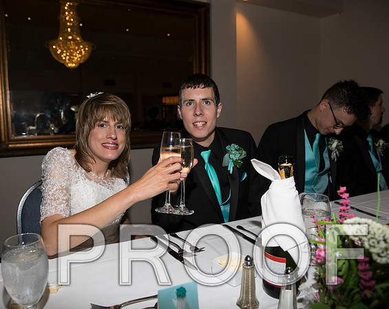 8L2A1320 aaa Wedding Toasts to the bride and groom