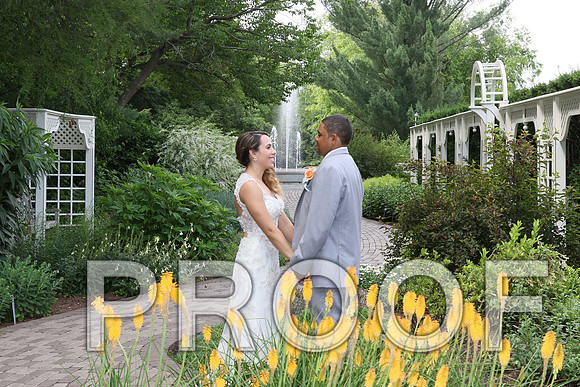 IF6A2075 / The Wedding - The Bride and Groom