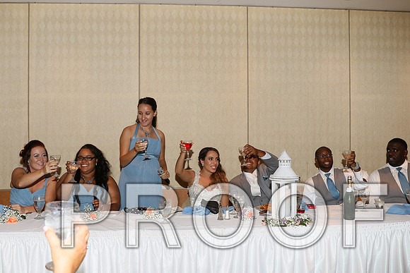 IF6A2636 / The Wedding - Toasts to the Bride and Groom