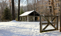 Poland Woods