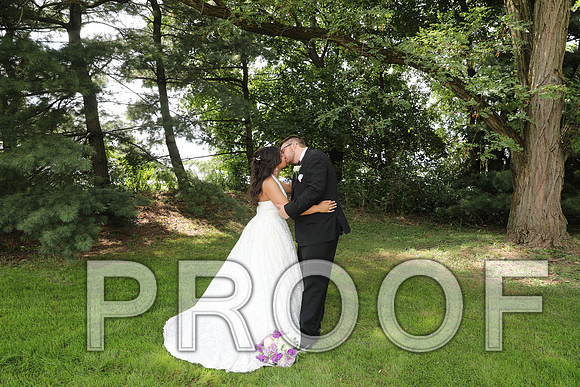 8L2A5915 Wedding - Bride and Groom with the Bridal Party